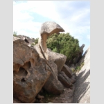 17_031 Capo Orso.jpg